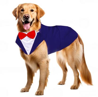 Buraq Tuxedo, Costume for Dog