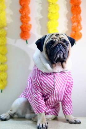 Baeship Shirt for Dog