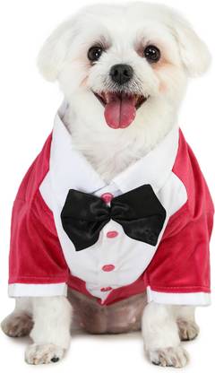 Barks & Wags Tuxedo for Dog, Cat