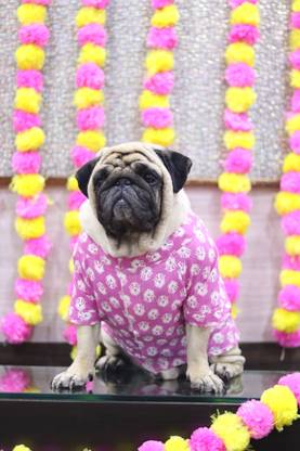 Baeship Dress for Dog