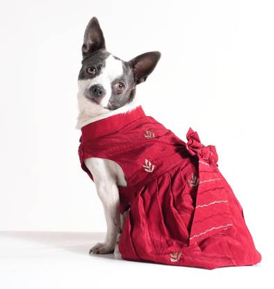 Barks & Wags Dress for Dog