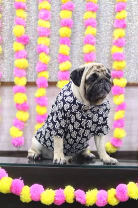 Baeship Dress for Dog