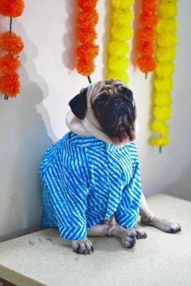 Baeship Shirt for Dog