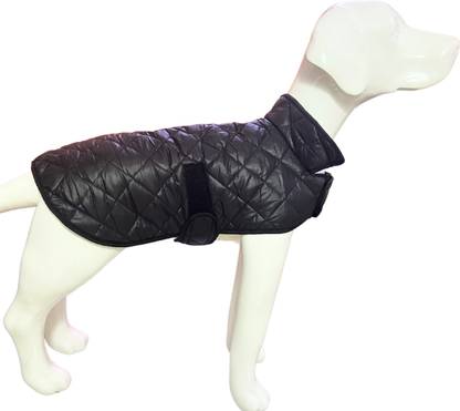 Payton Perry Winter Jacket for Dog