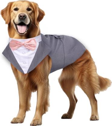 Buraq Tuxedo, Costume for Dog