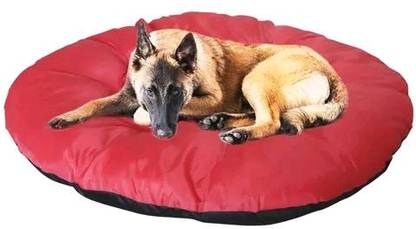 Trendy Smile Simple Rounded Pillow/ Gaddi/ Takiya For Dog And Cat XL Pet Bed