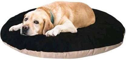 Trendy Smile Simple Rounded Pillow/ Gaddi/ Takiya For Dog And Cat M Pet Bed