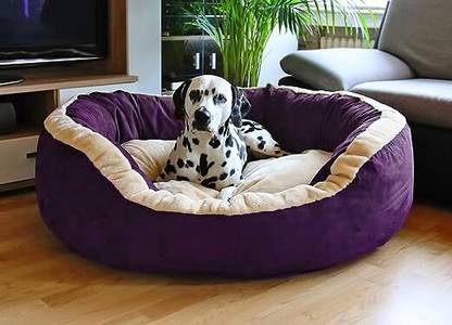 Little Supertails Fiber Filled Round Shape Velvet Fabric Sofa Shape Dog,Cat Pet Bed XXL Pet Bed