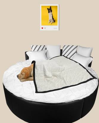 NUEVOS DOGGADIL 21023 Dog, Cat Blanket