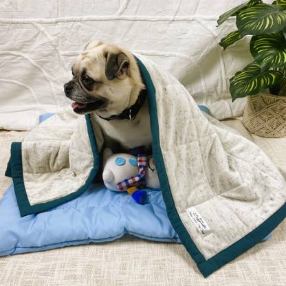 NUEVOS DOGGADIL 21020-M Dog, Cat Blanket