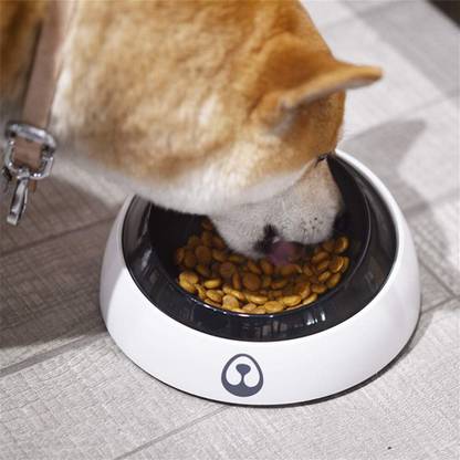 Budwill ™PT-7782 Single Dog Bowl Cat Feeder Slanted Durable Dog Bowl Anti-slip Plastic Pet Bowl