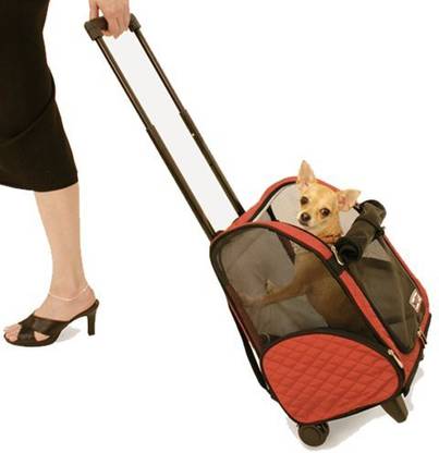 Snoozer Snoozer Roll Around 4-in-1 Pet Carrier, Red & Black, Medium Multicolor Backpack Pet Carrier