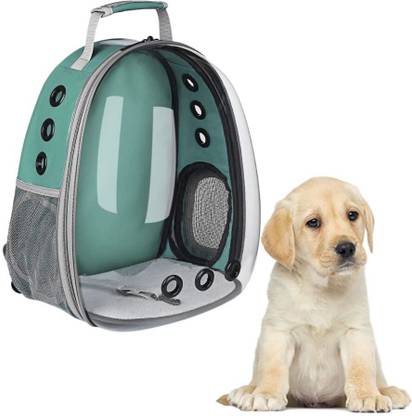 Sage Square Dog Backpack Carrier Bubble Carrying, Ventilated Transparent Capsule Pet Carrier Green Backpack Pet Carrier