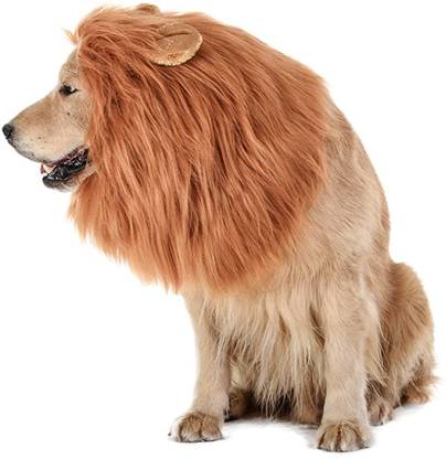 Qpets Dog Lion Mane Funny Headwear for Lion Mane Embellished Dog Collar Charm
