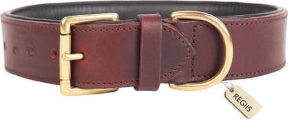 Regiis Dog Medium Size Adjustable Luxury Leather Collar for Premium Dogs Embellished Dog Collar Charm