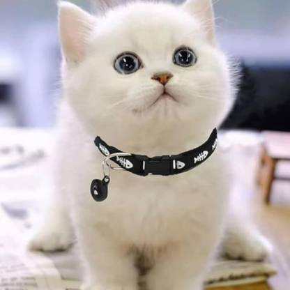 DogTrust 1 pcs pet collar Bell Dog & Cat Collar Charm