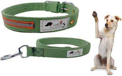 FOREVER99 Dog Collar Pet Security Reflective Nylon Neck Belt X-Small Fit Neck 9 to 12 inch Dog & Cat Collar & Leash