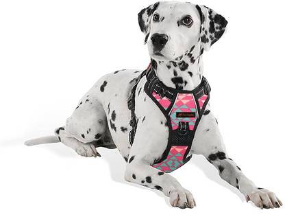 THE PETS POPULAR Black Ajustable Double Sided Pro Harness Body Belt with Rope Dog Standard Harness