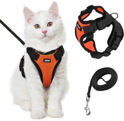 Buraq Cat Harness Wth Leash for Walking | Escape Proof | Air Mesh Fabric Cat Standard Harness