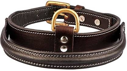 Sparrow Daughter Leather Beaded Dog Collar | Neck Belt for All Breeds- (20 X 1.5 Inch) Dog Everyday Collar