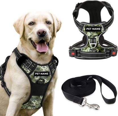 Berlin's Double Side/Body Ajustable Dog Harness with Leash Dog Collar & Leash