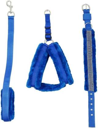 SCOOBY DOOBY DOO Dog Harness & Leash