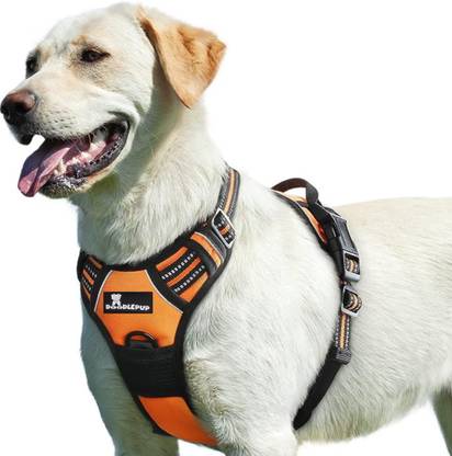 Doodlepup Labrador Dog Belt, Chest Girth (Min Size 38 - Max 90 CM) Dog Safety Harness