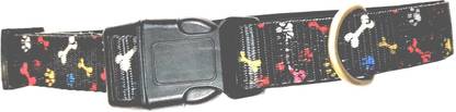 HUSKY Dog & Cat Everyday Collar