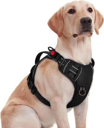 Pawxie Dog Chest Belt Harness | Comfortable & Adjustable Size For 23-35 Kg Pet Dog Standard Harness