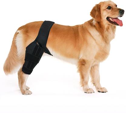 HANNEA Dog Leg Brace Dog Knee Brace Rear Leg Brace Leg Support Brace for Injured Dog Dog Standard Harness