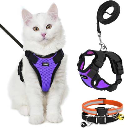 Buraq Cat Harness & Leash