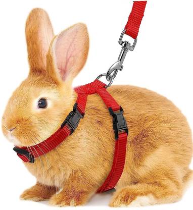 DOSAN Cat Harness Leash Nylon Set for Cat Rabbit Kitten BODYBELT Strap Training Lead Cat Harness & Leash