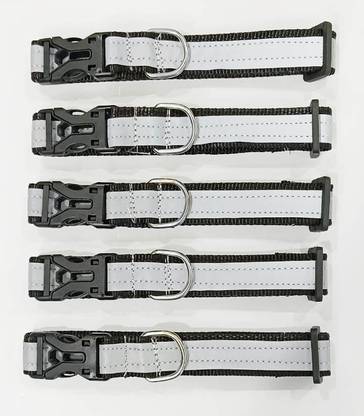 Rexalt Dog & Cat Everyday Collar