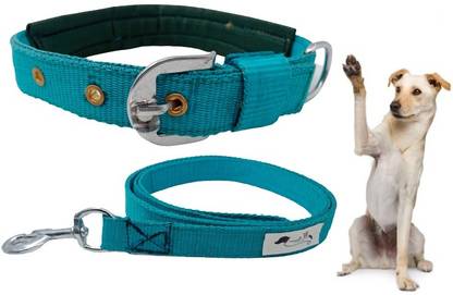 FOREVER99 Dog Collar Pet Security Reflective Neck Belt Extra Large Fit Neck 21 to 24 inch Dog Collar & Leash