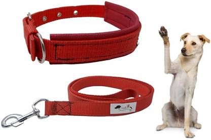 FOREVER99 Dog & Cat Collar & Leash
