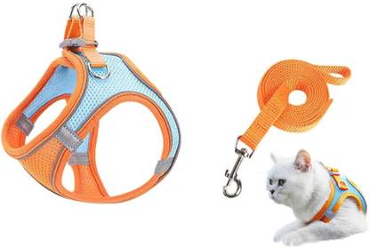 24x7eMall Cat Harness with Leash Adjustable 150 cm Length (S, Orange Green) Cat Buckle Harness
