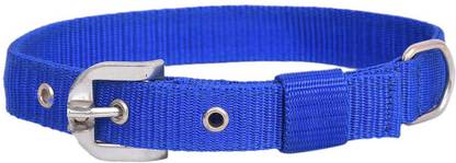 KLASSY Dog Everyday Collar