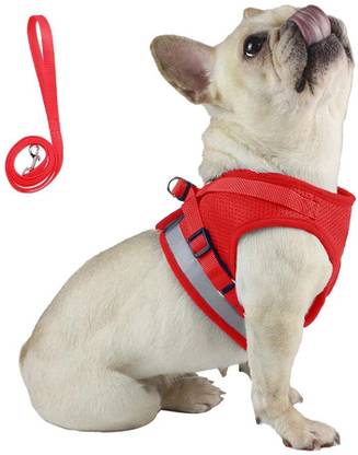 HASTHIP Dog Vest Harness Puppy with 1.2m Dog Leash Adjustable Vest Harness Breathable-L Dog Standard Harness