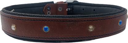 FOREVER99 Soft Touch Leather Dog Collar Most Comfortable Small Fits Neck Size 10" to 15" Dog Collar & Leash