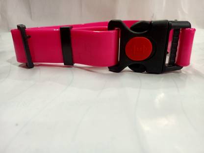 SCOOBY DOOBY DOO CO. Dog Everyday Collar