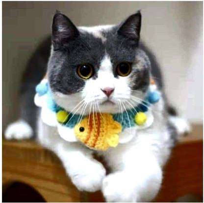 fashnita Cat Collar Cat Everyday Collar