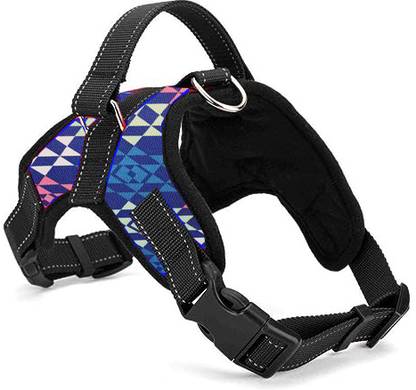 PETSPOPULAR Dog Collar & Leash