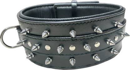 shagul Dog Show Collar
