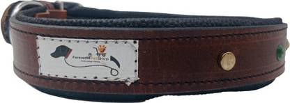 FOREVER 99 Dog Collar & Leash