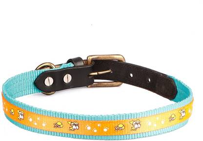 Sparrow Daughter Nylon and Leather Dog Collar | Neck Belt for All Breeds- 18 X 1 Inch Dog Everyday Collar