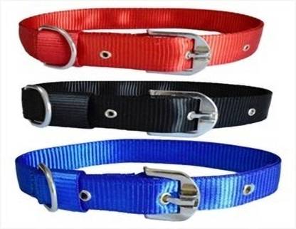 Pupscomfort Pets Harness Leash Set Dog & Cat Everyday Collar
