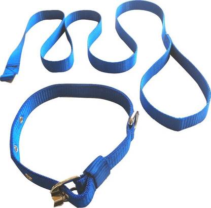 Suraj Chains Combo of Adjustable Dog Collar and Leash for Small Dogs of All Breed Dog Collar & Leash