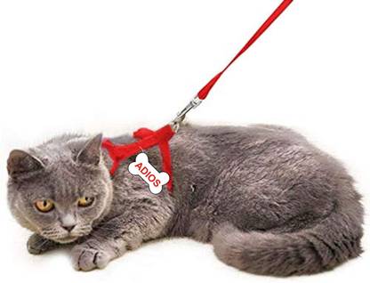 ADIOS Cat Harness with Black Leash for All Cats & Kitten Easy to Fit Easy to Control Cat Harness & Leash