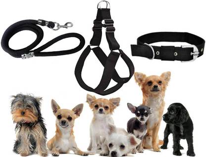 Hundur Store Dog Harness & Leash