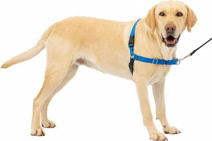 WapaW No-Pull Dog Harness with Leash | Adjustable Halter Harness Dog Harness & Leash